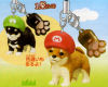 Nintendogs Collection 2 Cleaning Strap [Unidad]