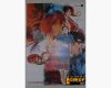 Poster SNK Vs Capcom: Chaos. Modelo 1